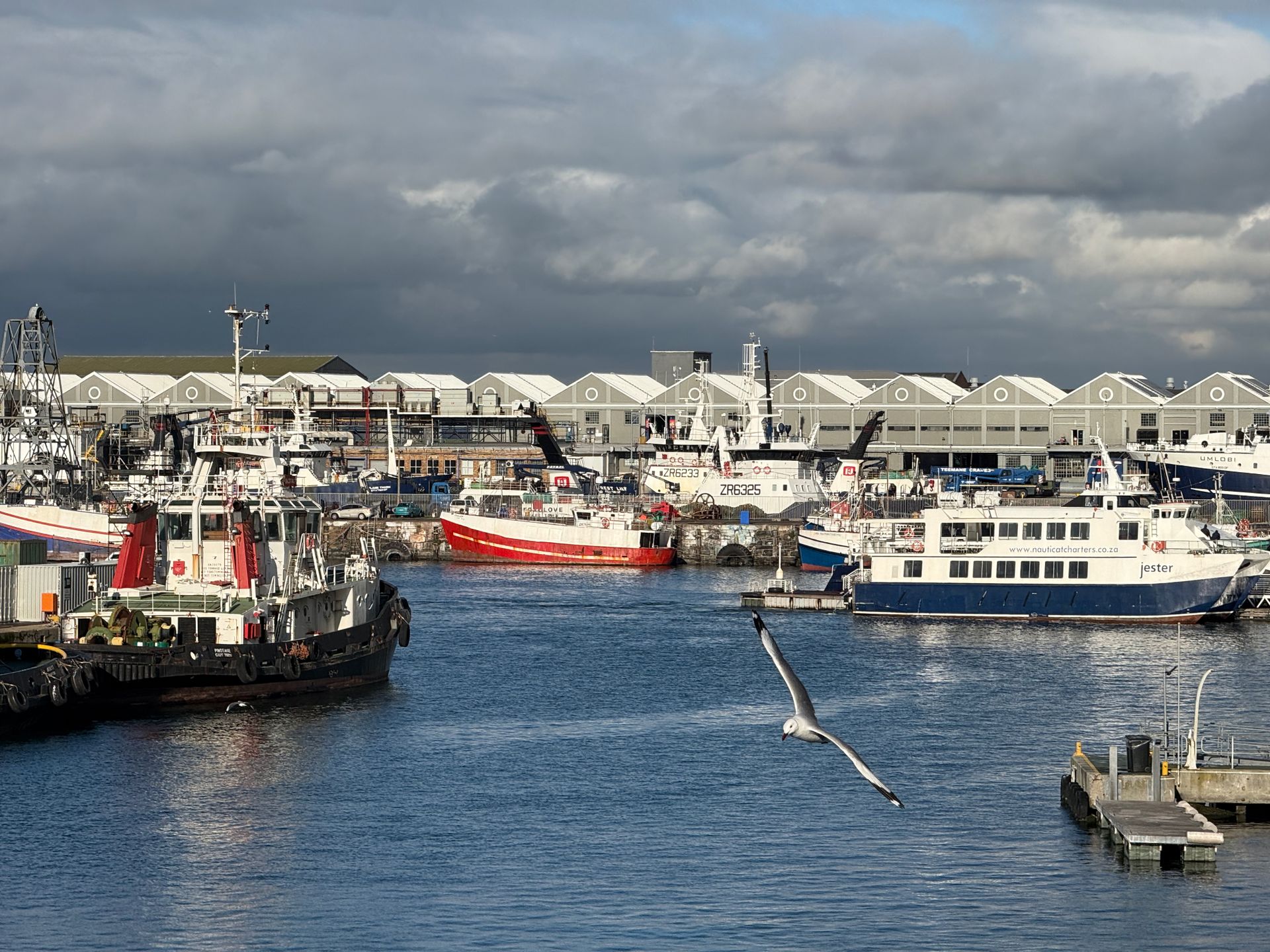 Port of Durban Vessel